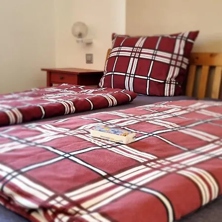 Regina/grafenhaus Guest house 2*