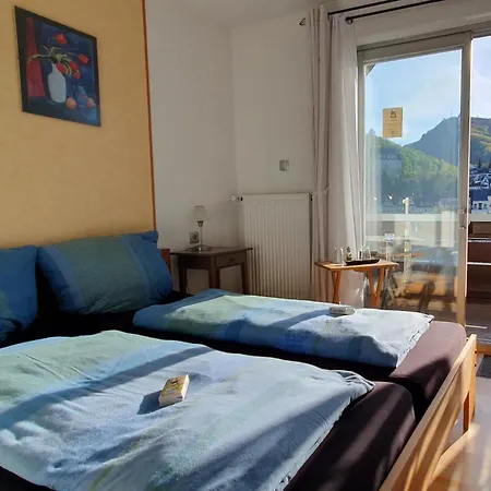 Guest house Regina/grafenhaus 3*