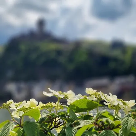 Regina
