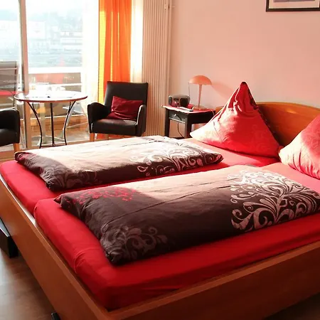 Guest house Regina/grafenhaus 3*