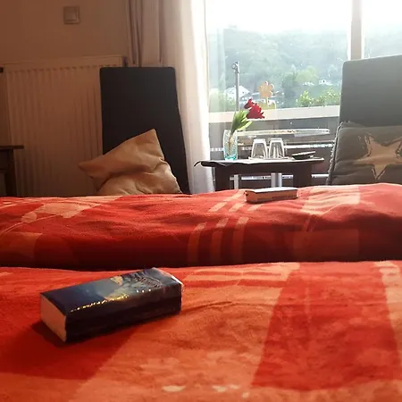 Guest house Regina/grafenhaus 2*
