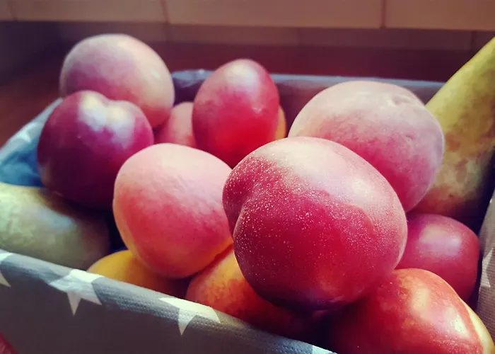 Regina 招待所 科赫姆